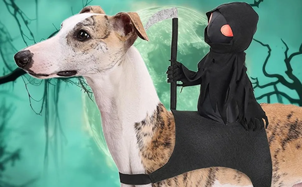 Pet Halloween Costumes